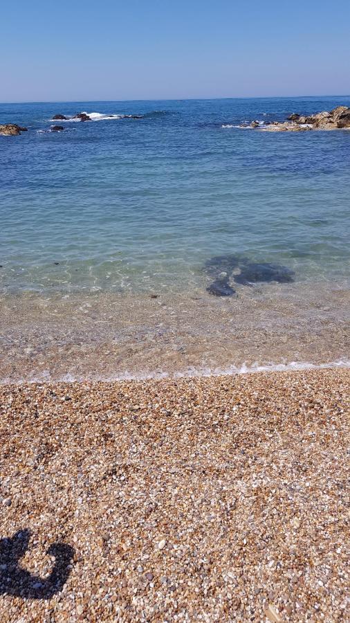 Beachwalk Guesthouse Esmoriz Kültér fotó