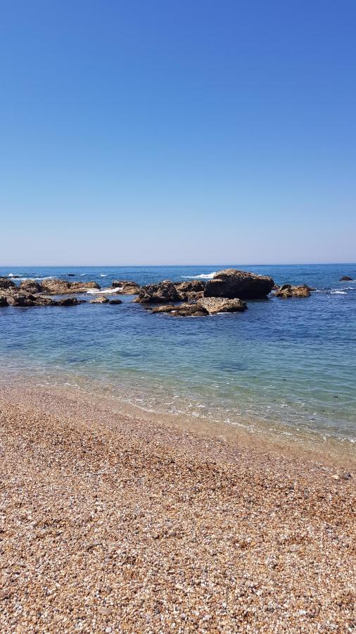 Beachwalk Guesthouse Esmoriz Kültér fotó